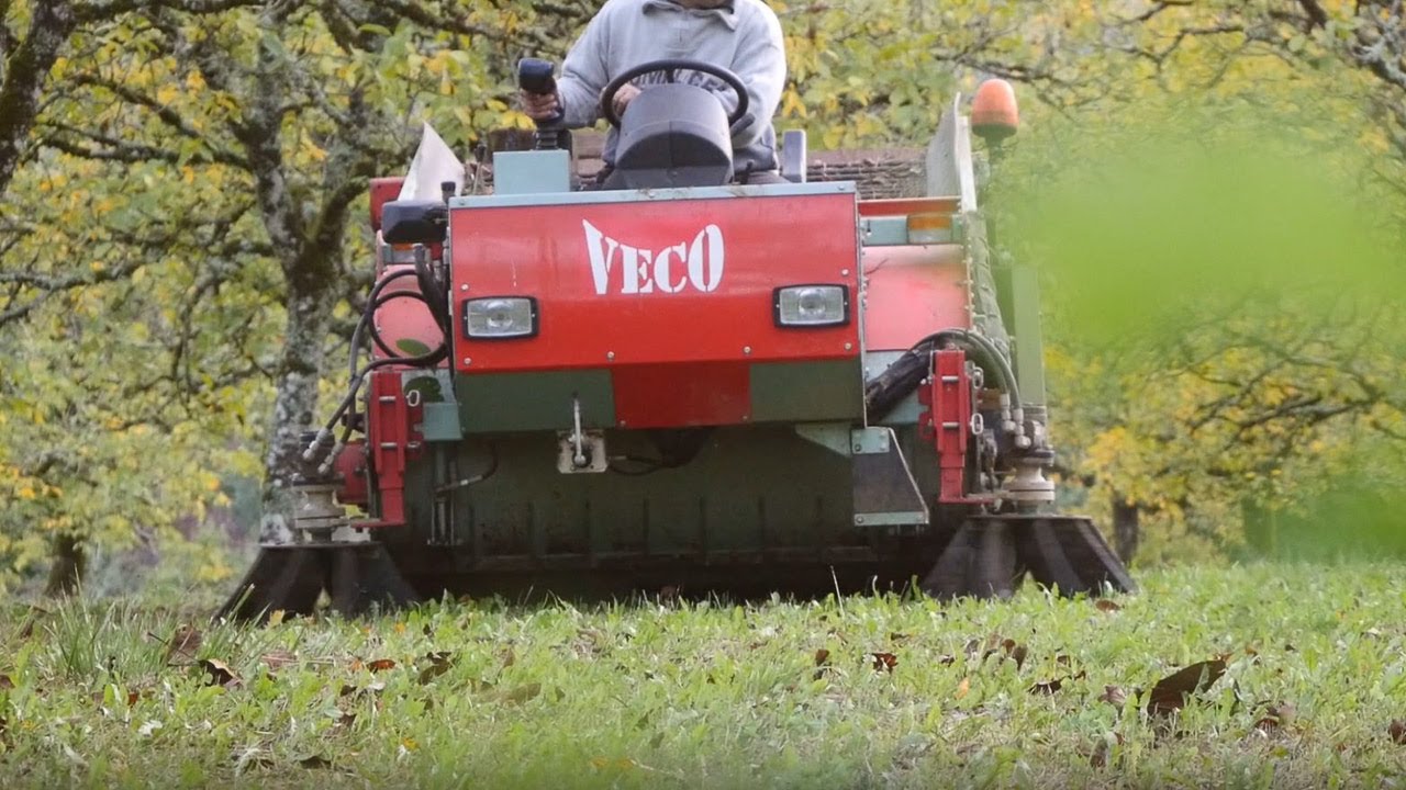 RAMASSEUSE DE NOIX VECO !