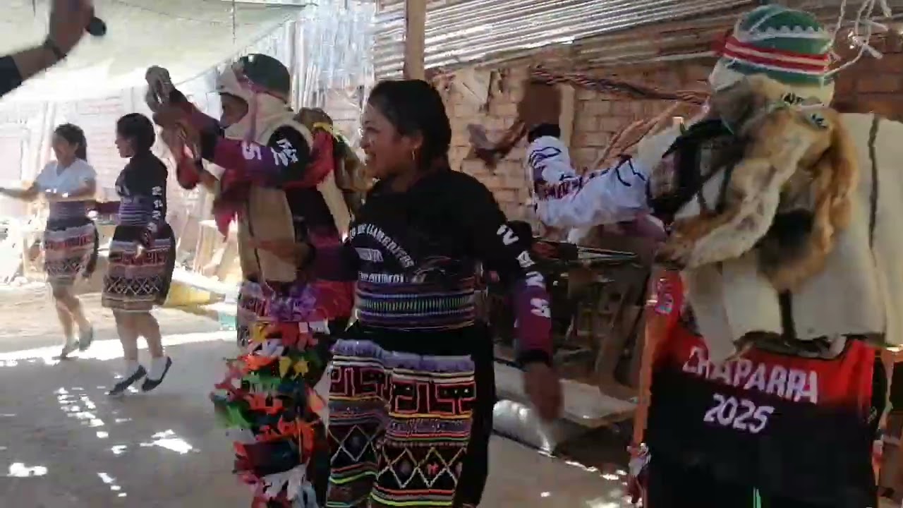 Llameritos de chumpi en Chala