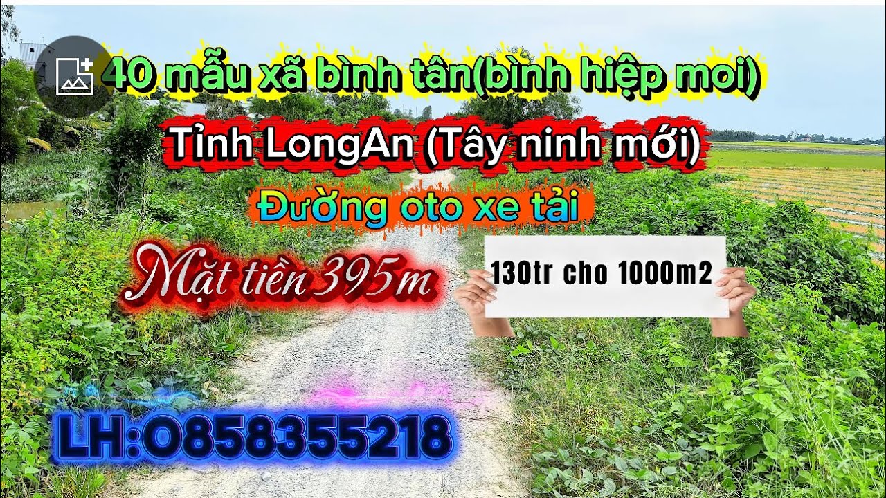 40 mẫu xã bình tân tinh Long An cũ ( Tây ninh mới) mat tiền 395m 130tr cho 1000m2 lh:0858355218