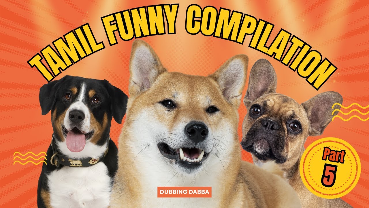 Tamil dubbed funny collection part 5 || Dubbingdabba || Tamil dubbed videos || dubbingdappa