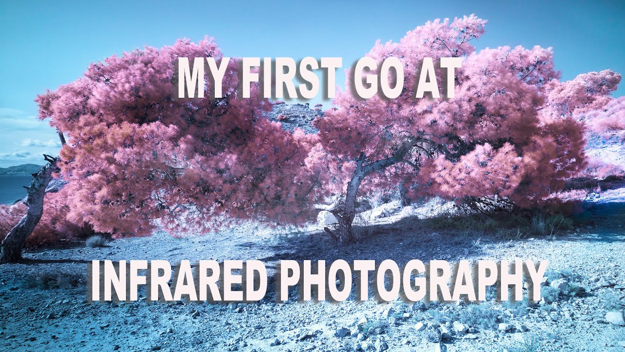 MY FIRST GO AT INFRARED PHOTOGRAPHY