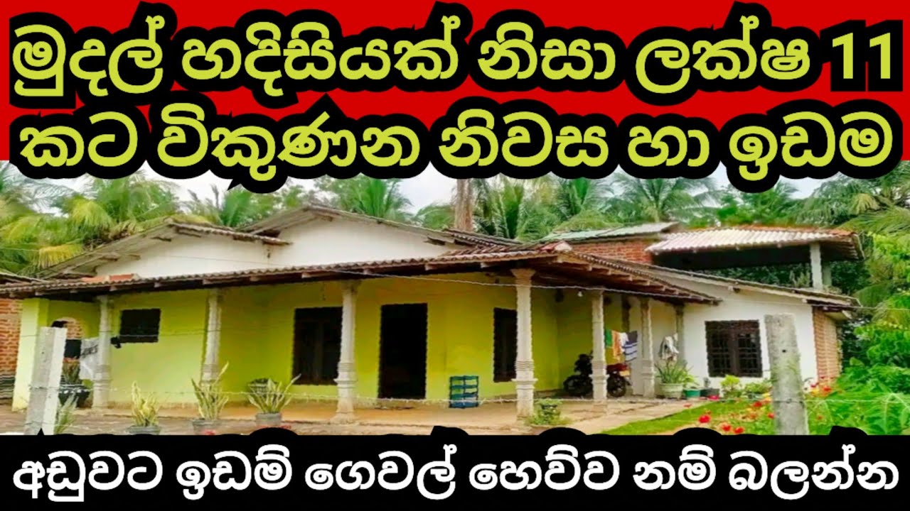 මුදල් හදිසියක් නිසා ලක්ෂ 11 කට විකුණන නිවස හා ඉඩම | House for sale | Aduwata idam | Land for sale