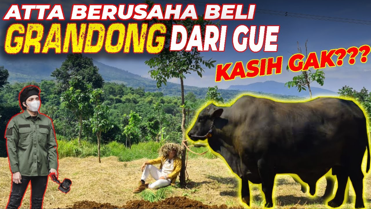 MAKIN SAYANG AMA GRANDONG. KELAKUKANNYA MAKIN ANEH2 AJA!!MASA PAKAI LATIHAN SEMBELIH SEGALA. HADUUH!