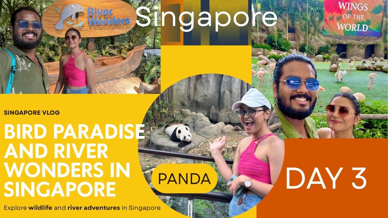 Singapore 2025 Vlog Day 3: Bird Paradise & River Wonders Adventure | SushKom Couple Vlog | Travel