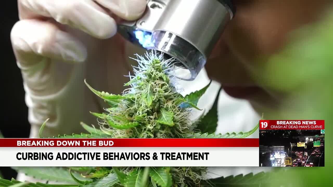 Breaking Down the Bud: Ohio gears up for legal weed, but addiction experts sound alarm