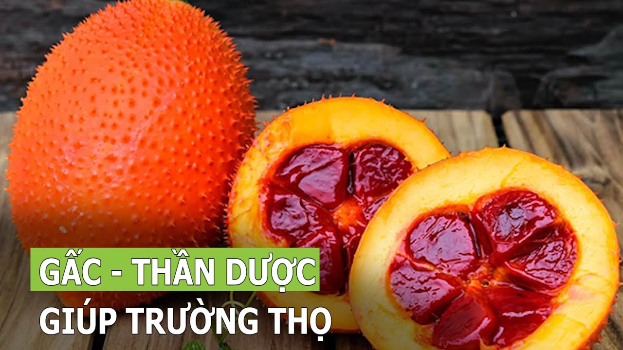 Gấc – “thần dược” của người Việt giúp trường thọ | VTC16