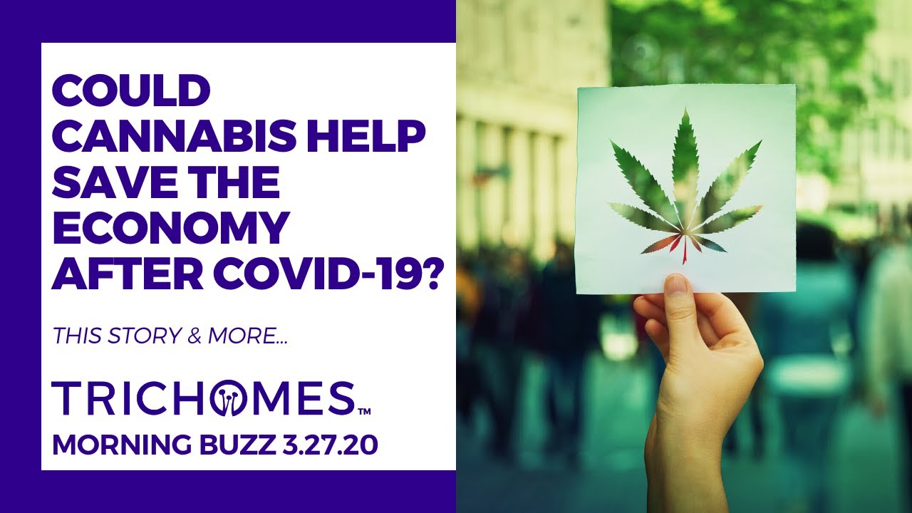 COULD CANNABIS HELP SAVE THE ECONOMY? | TRICHOMES Morning Buzz