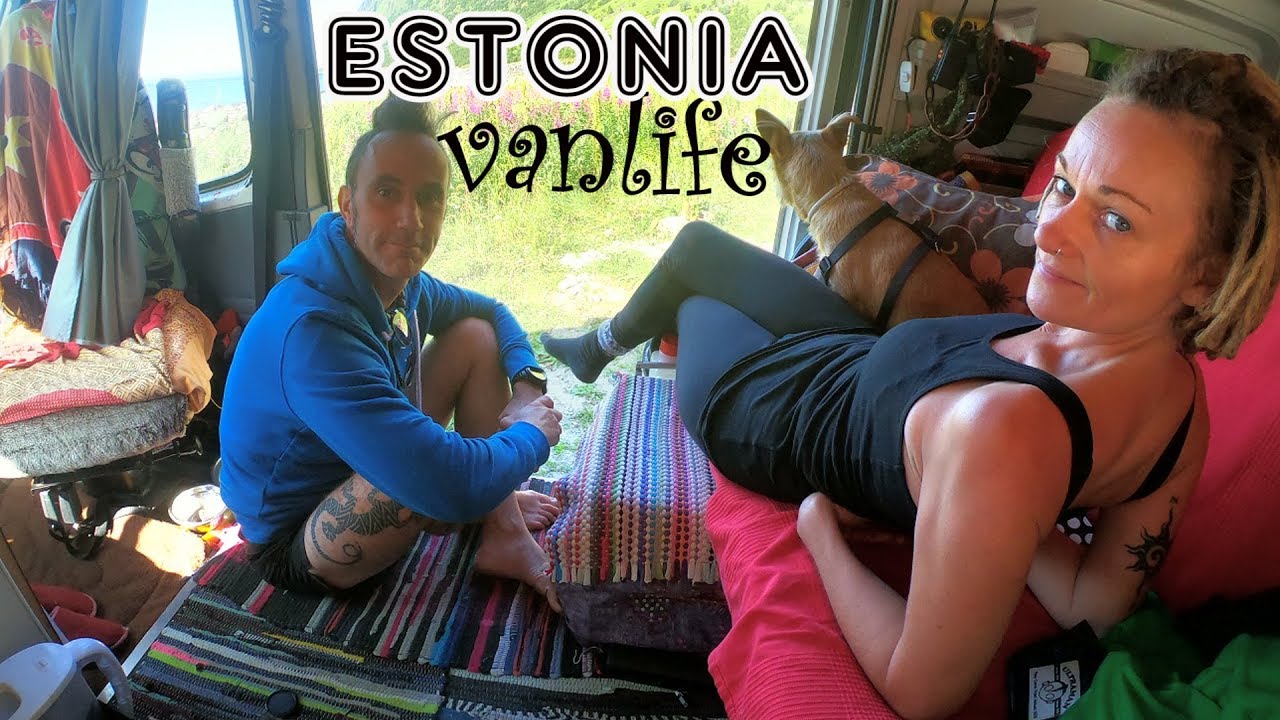 FOREST PARK UPS (central) ESTONIA - VAN LIFE