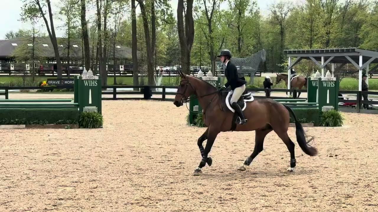 Nonchalant- safe 3’6 eq / hunter packer