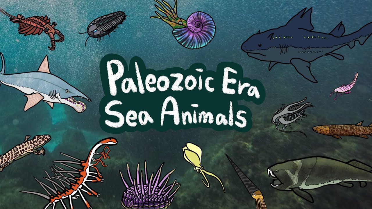 Paleozoic Sea Animals | What kind of sea animals lived in Paleozoic Era? | Kids Draw