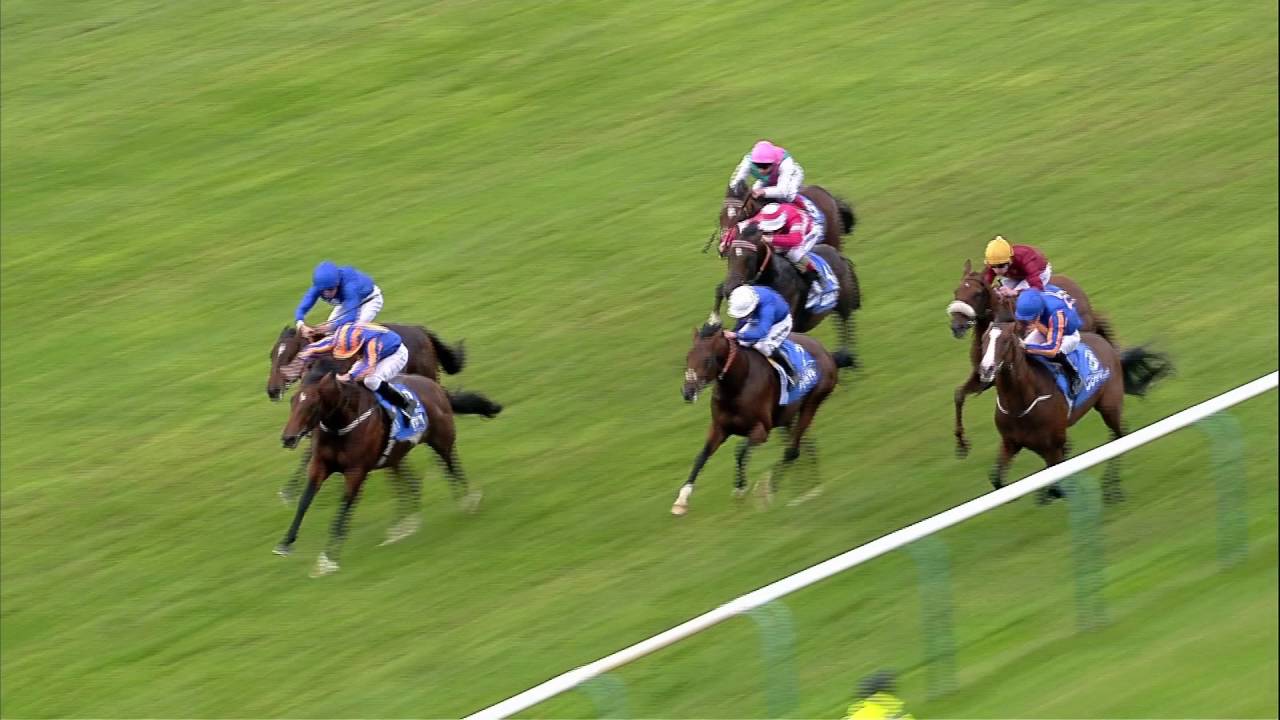 2016 Dubai Dewhurst Stakes - Churchill - Racing TV