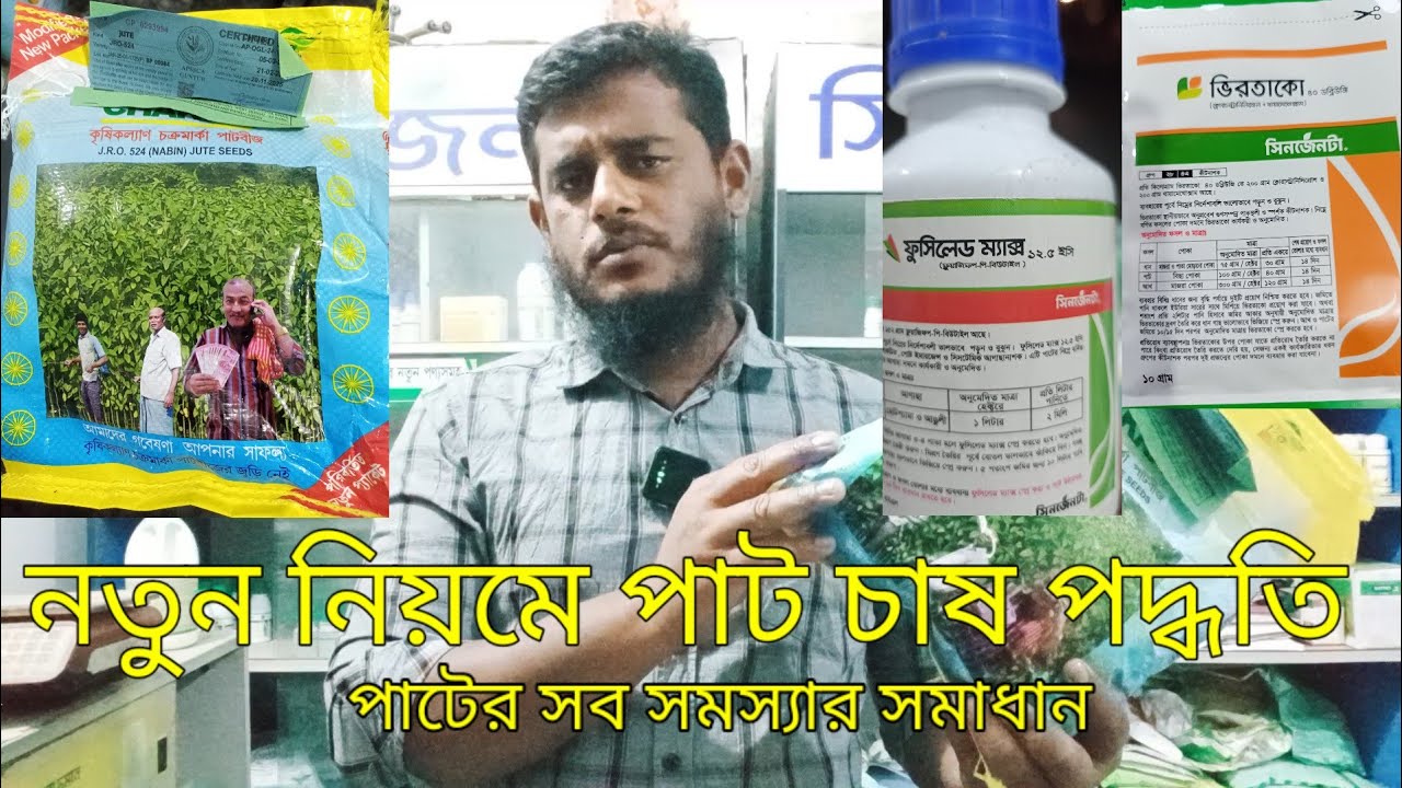 নতুন নিয়মে পাট চাষ পদ্ধতি। পাঠের সব সমস্যার সমাধান। সিনজেনটা কৃষি টিভি