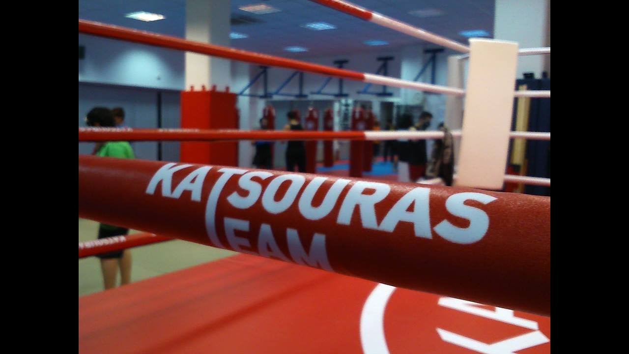 ΠΡΟΠΟΝΗΤΙΚΗ ΟΜΑΔΑ Α.Σ ΒΟΛΟΥ ΠΗΓΑΣΟΣ (HOMBU DOJO )
