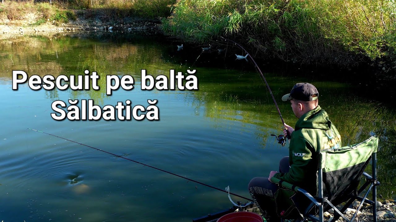 Pescuit la feeder pe Balta Semisălbatică ! Am revenit !  O partidă de poveste cu Pești Superbi ! 