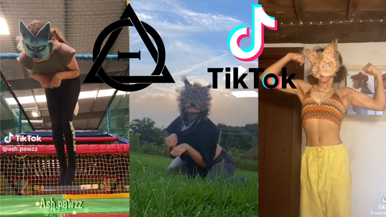 Therian and Quadrobics TikToks || Compilation 🐾🍂 || Alterhumans of TikTok #32