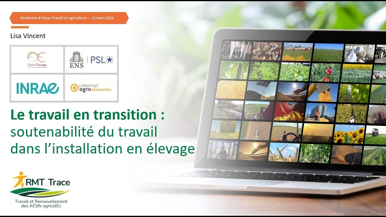 Le travail en transition : soutenabilité du travail dans l’installation en élevage