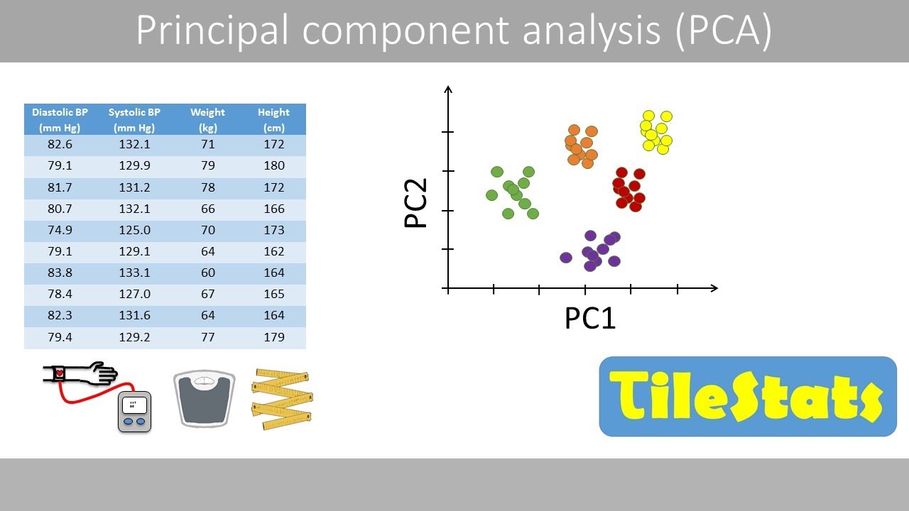 PCA : the basics - explained super simple
