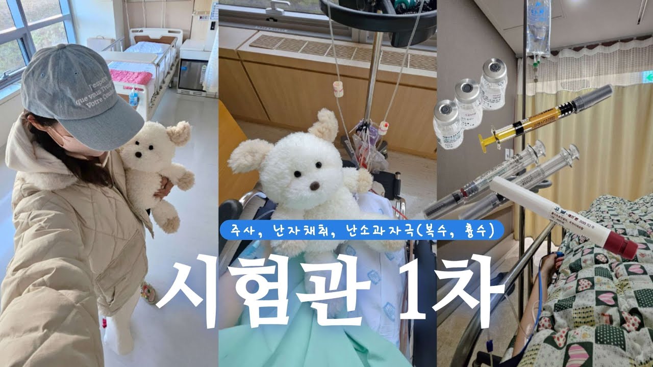 시험관 1차 브이로그 | 과배란 배주사 과정, 마리아의원 34개 난자채취, 난소과자극(복수, 흉수)으로 7박8일 입원까지