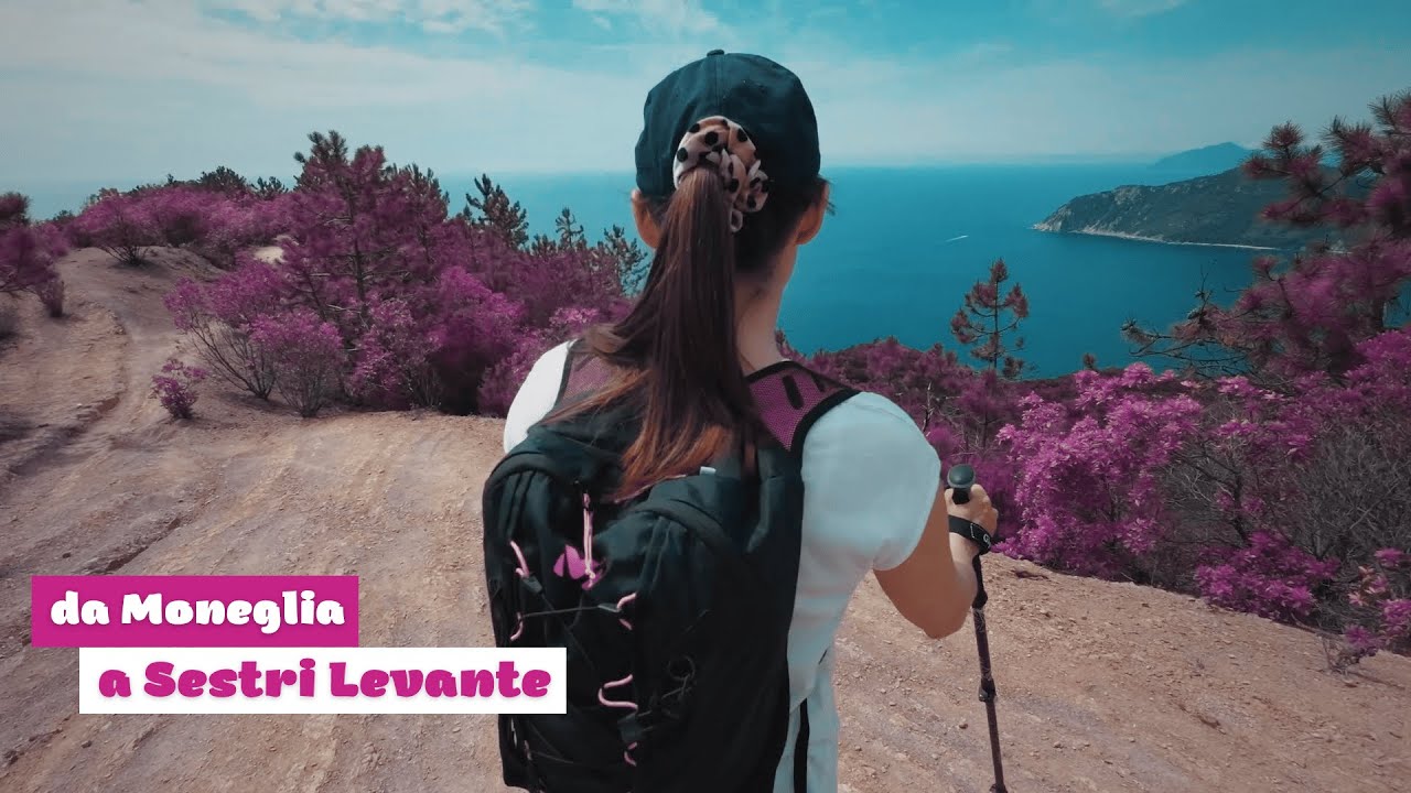 Un SENTIERO BELLISSIMO ma ancora POCO FREQUENTATO!!! Da Moneglia a Sestri Levante