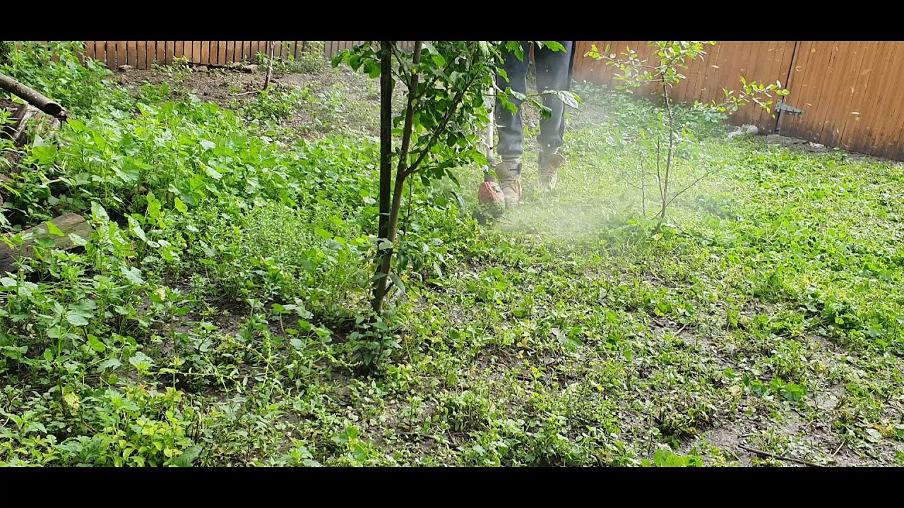 HEAVY DUTY TEST on wet, large vegetation of Einhell Power-X-Change GE-CT 18 Li cordless trimmer. PT1