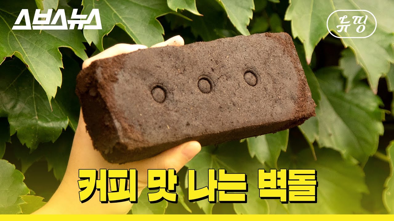 [뉴띵 EP.21] 일본에서 잘 팔리는 한국 커피 벽돌 / 스브스뉴스