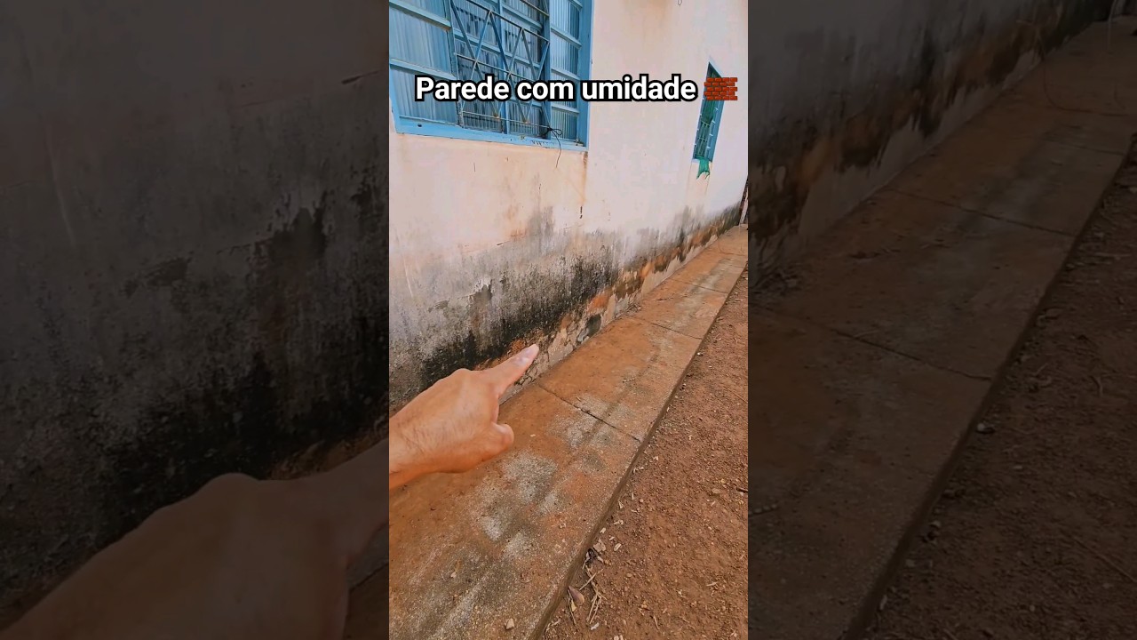 pedreiro mostrando como vai reformar parede com umidade #constru&ccedil;&atilde;o #obra #reforma #pedreiro
