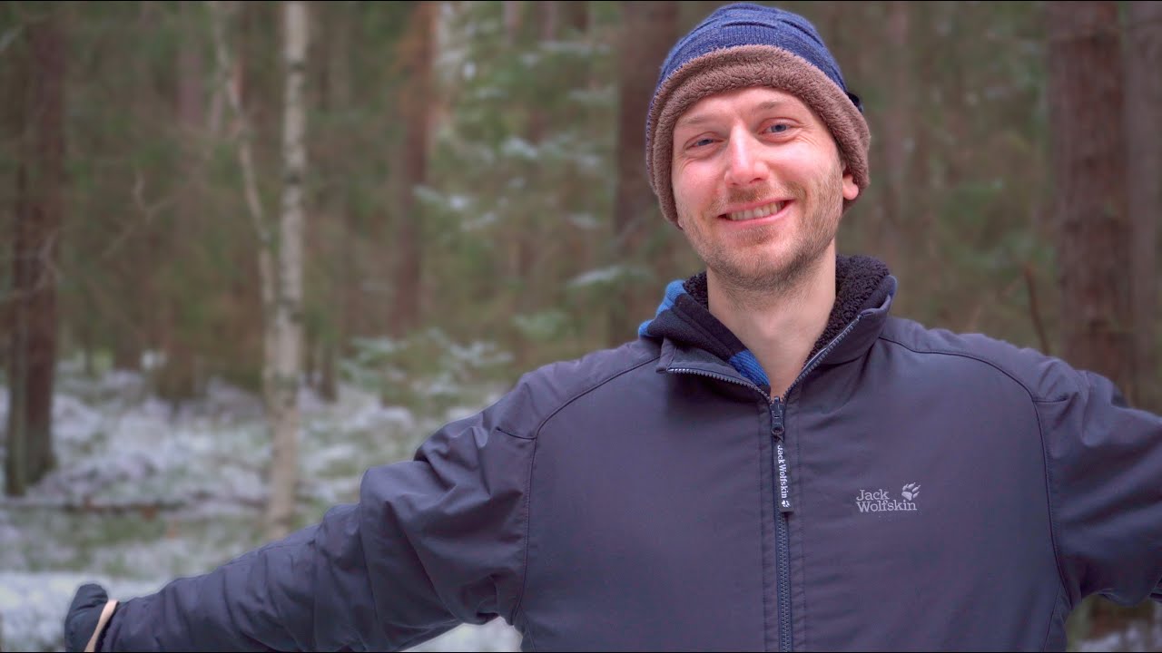 A Little Update from a Tiny Forest in Stockholm