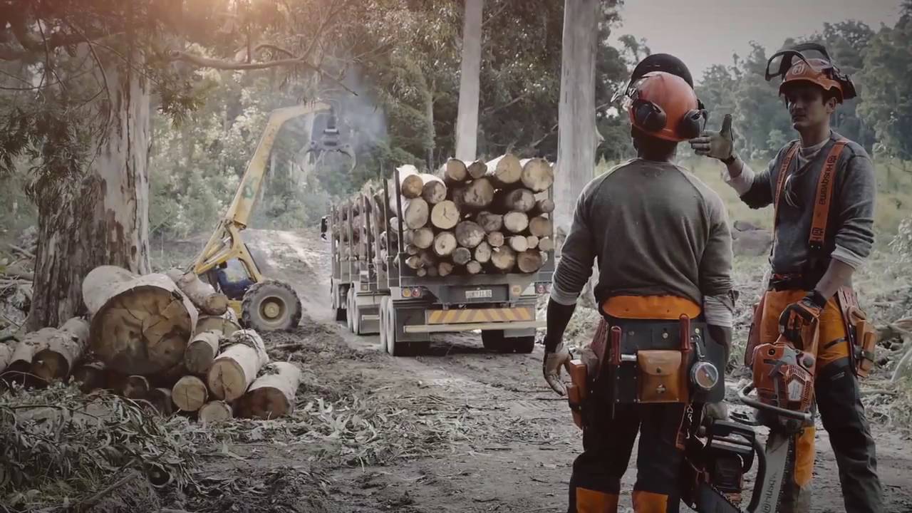 Бензопилы Husqvarna   Результат при любых обстоятельствах