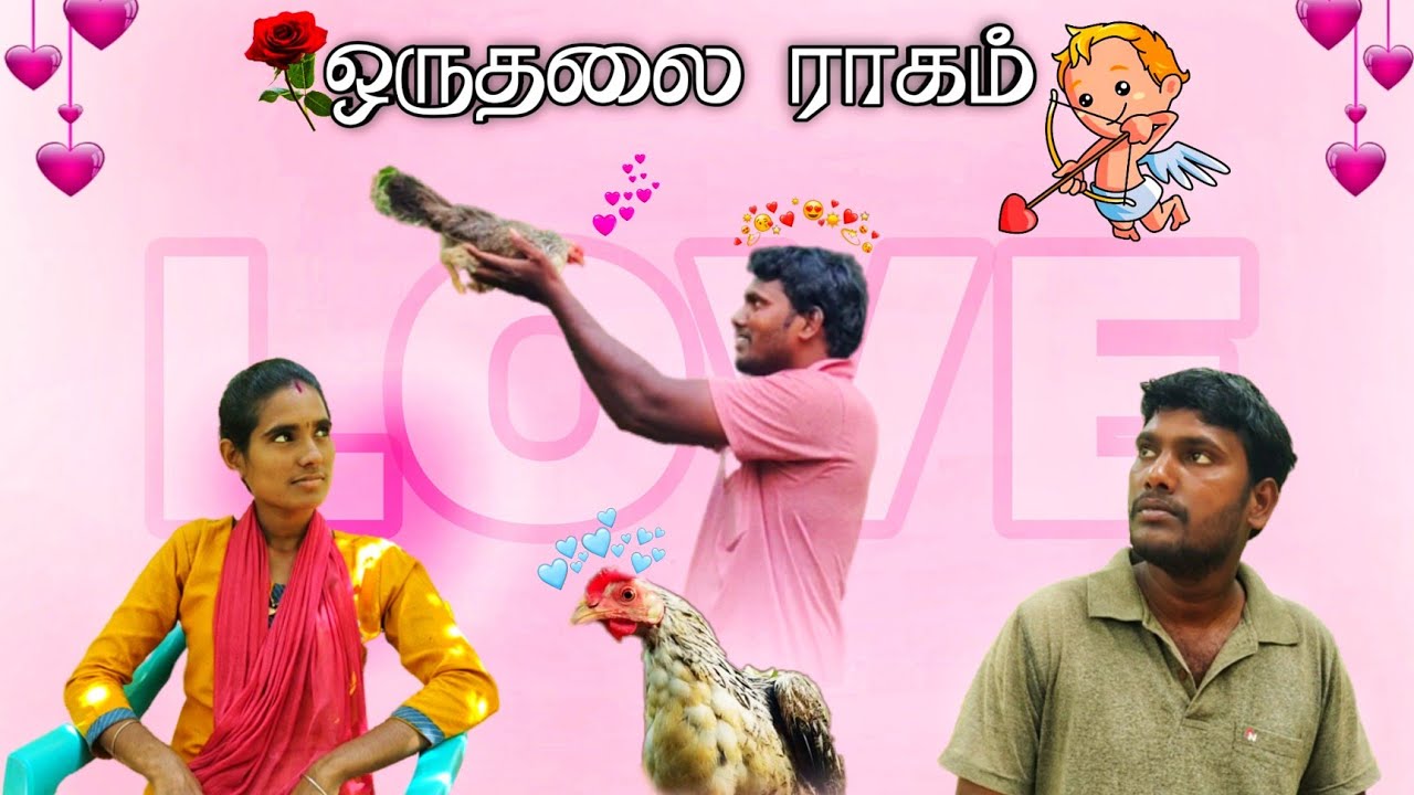 💘ஒருதலை இராகம் / kozhi koothugal / one side love🐓💝