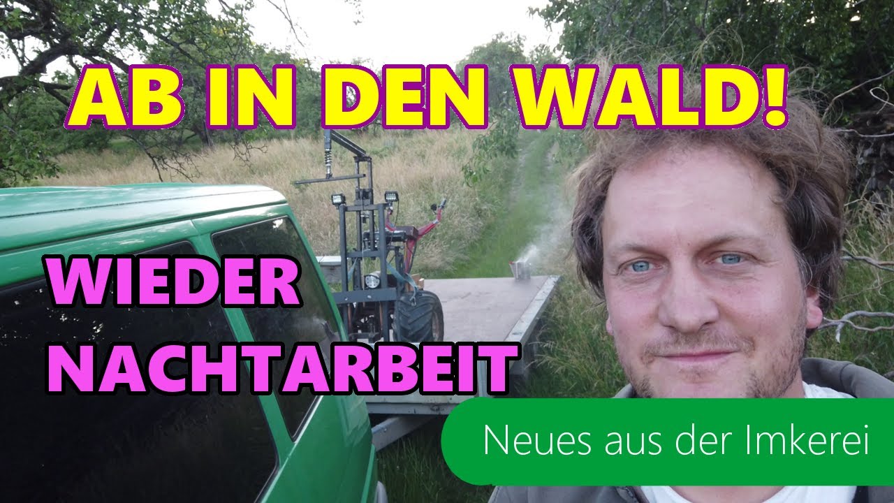 Bienen in den Wald | Nachtarbeit | Waldhonig 2022 | Neues aus der Imkerei