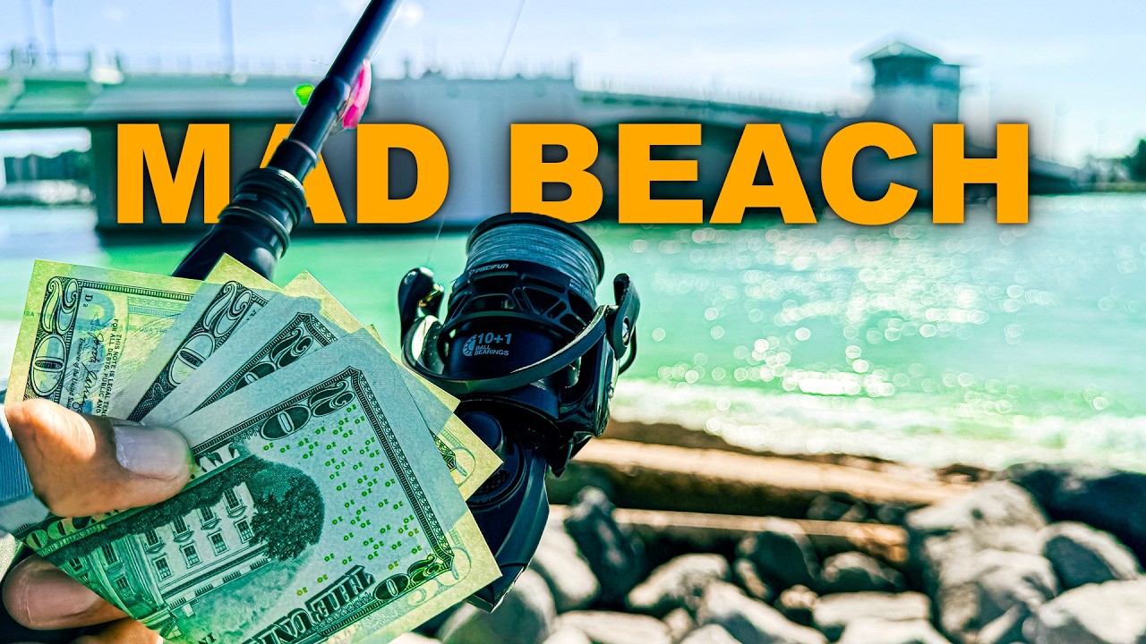 I Paid to Fish John’s Pass | Worth it or BIG Mistake?