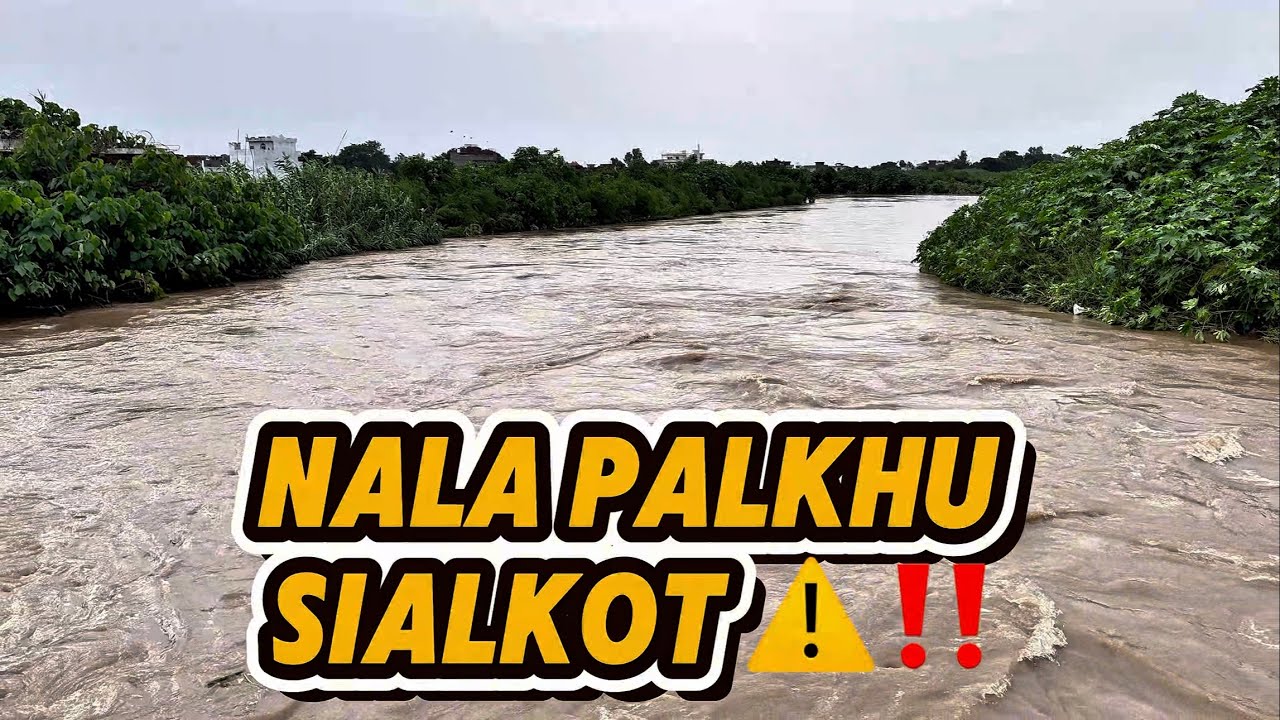 Nala Palkhu Flood Update 🌊 | Khadim Ali Road Sialkot Under Water🥹