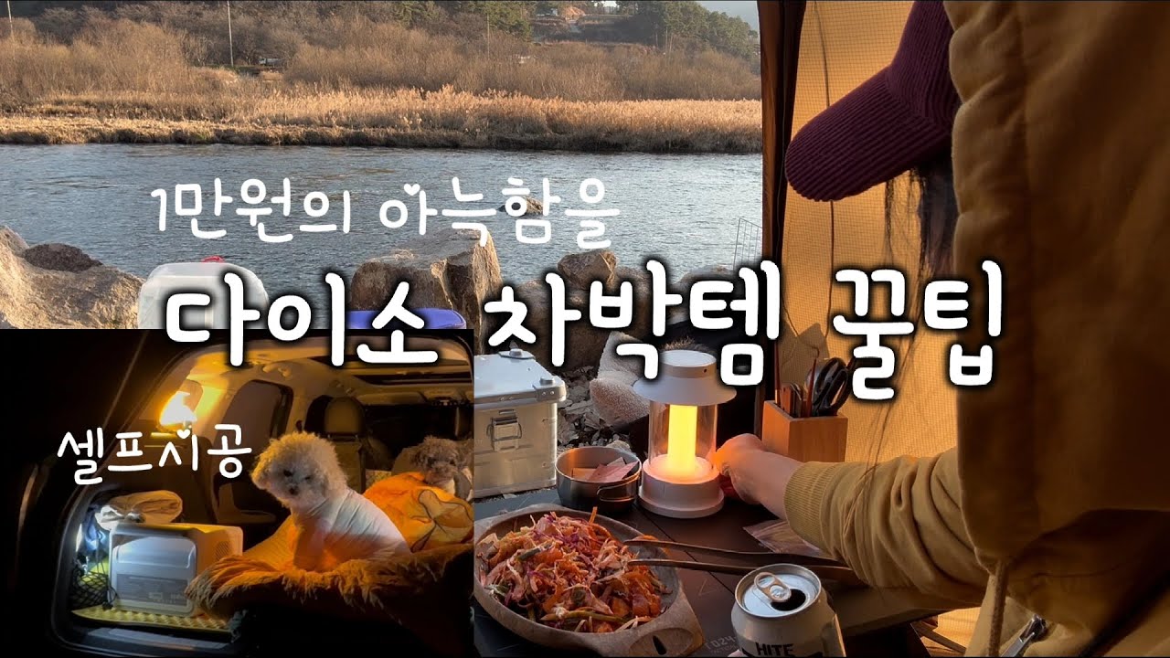 차박 준비 필수품은?/다이소 차박 꿀템 /미니컨트리맨에서 차박이 될까?