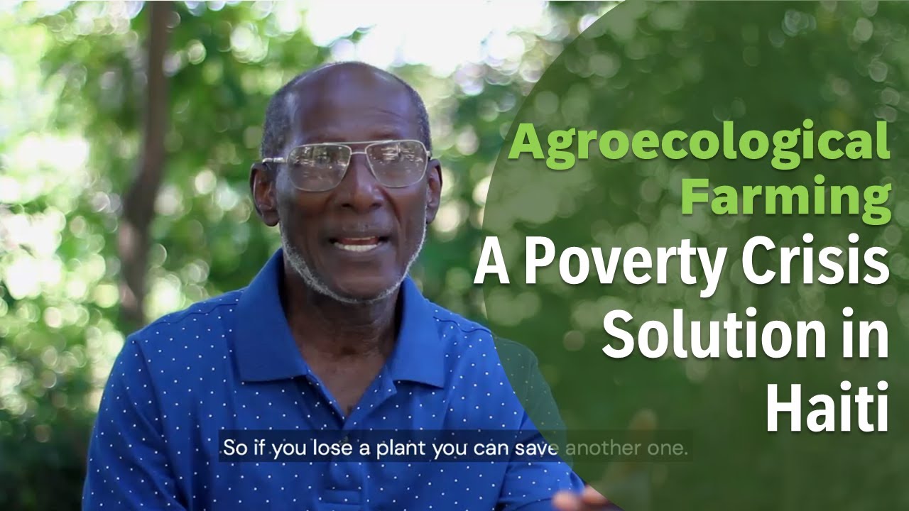 Agroecological farming in HAITI: A poverty crisis solution