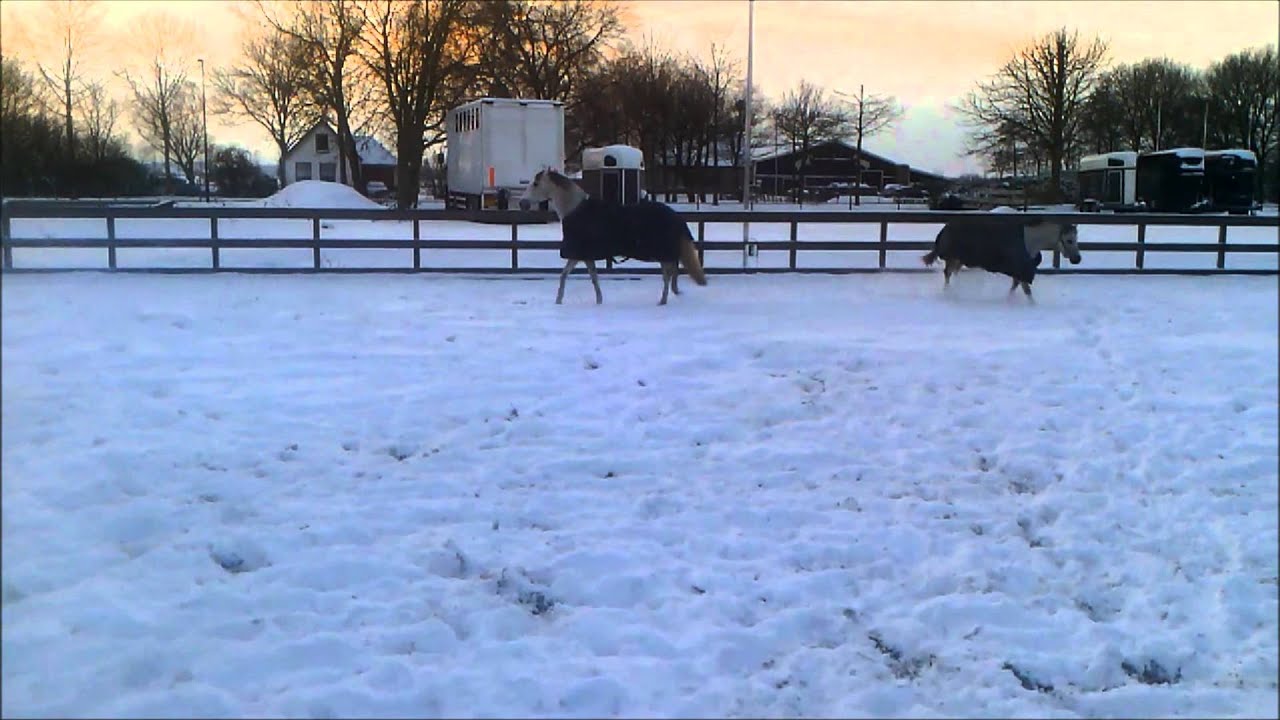 Winter weer op Manege De Steenen Kamer 2012