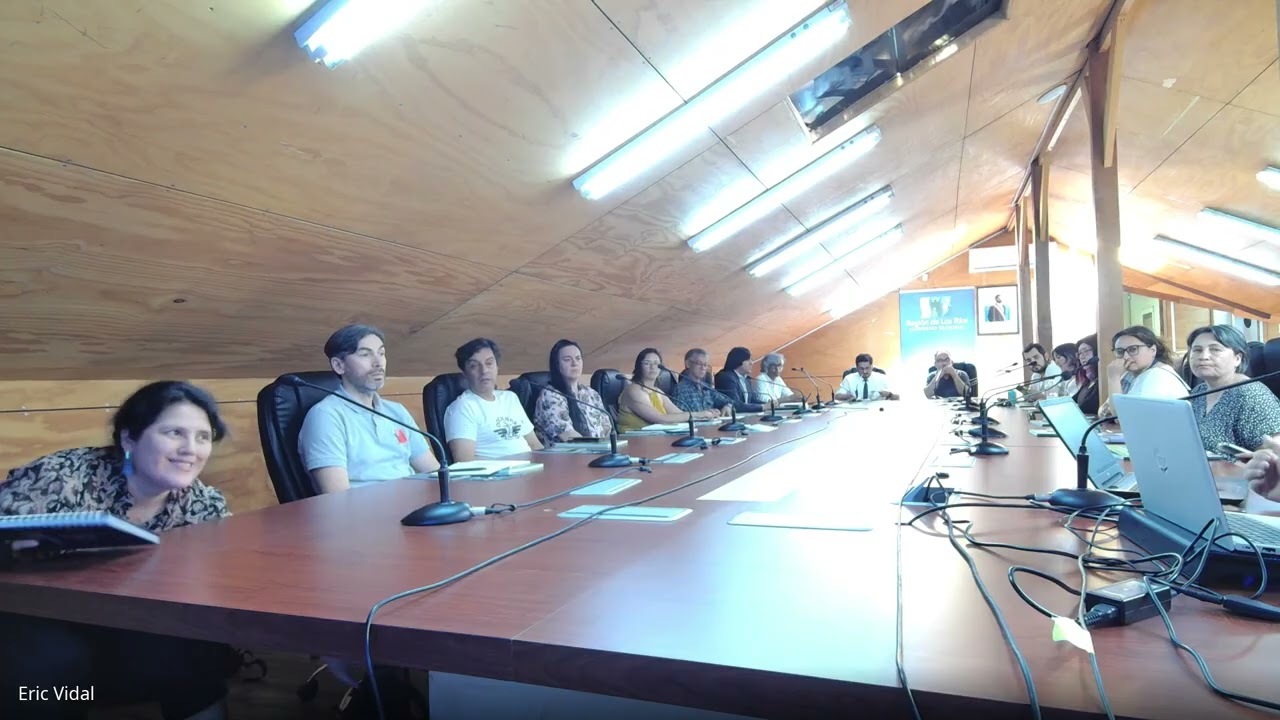 Sesión de constitución Comité Regional por Escazú, Región de Los Ríos
