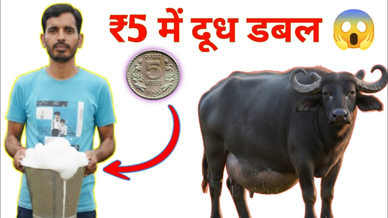 सिर्फ ₹5 का खर्च 💰🐄 और रिकॉर्ड तोड़ दूध 🥛📈 | जानिए मिनरल मिक्सचर का असली जादू ✨