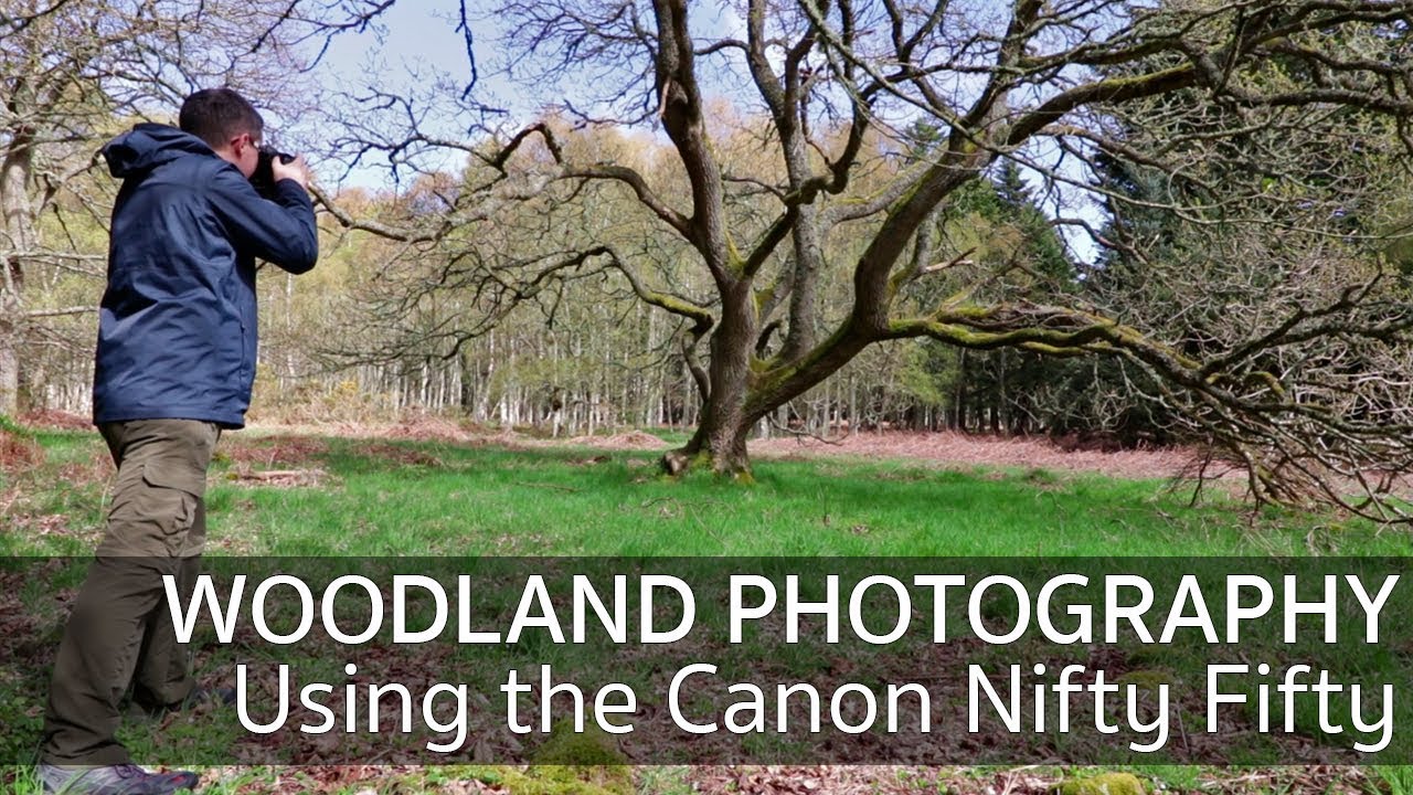 The Canon Nifty Fifty - Why It’s Great for Woodland Photography (Canon EF 50mm f/1.8 STM Lens)