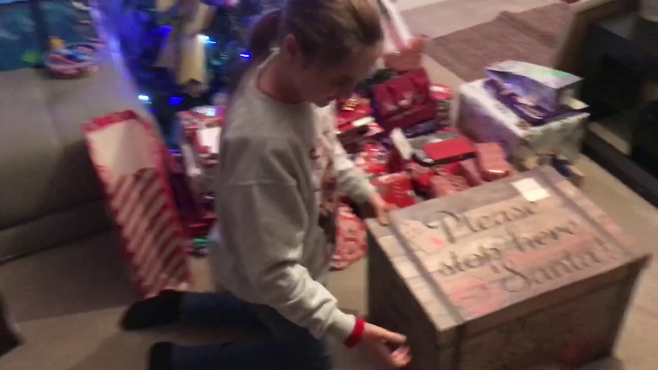 Cavapoo puppy Christmas surprise
