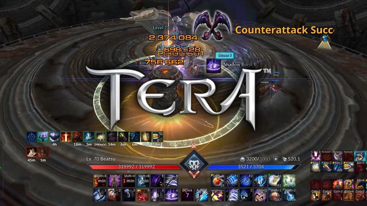 Some Tera Clips