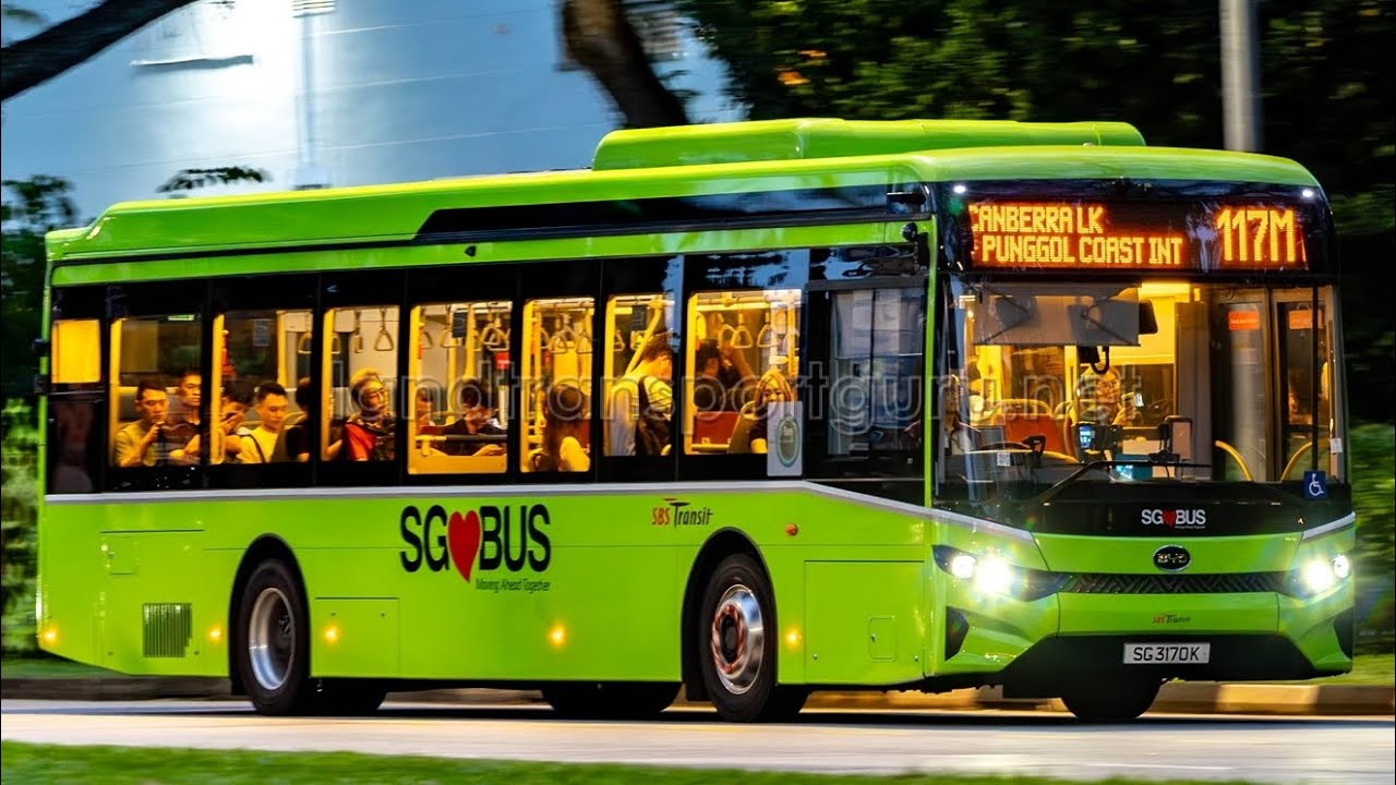SG3433C 117M 