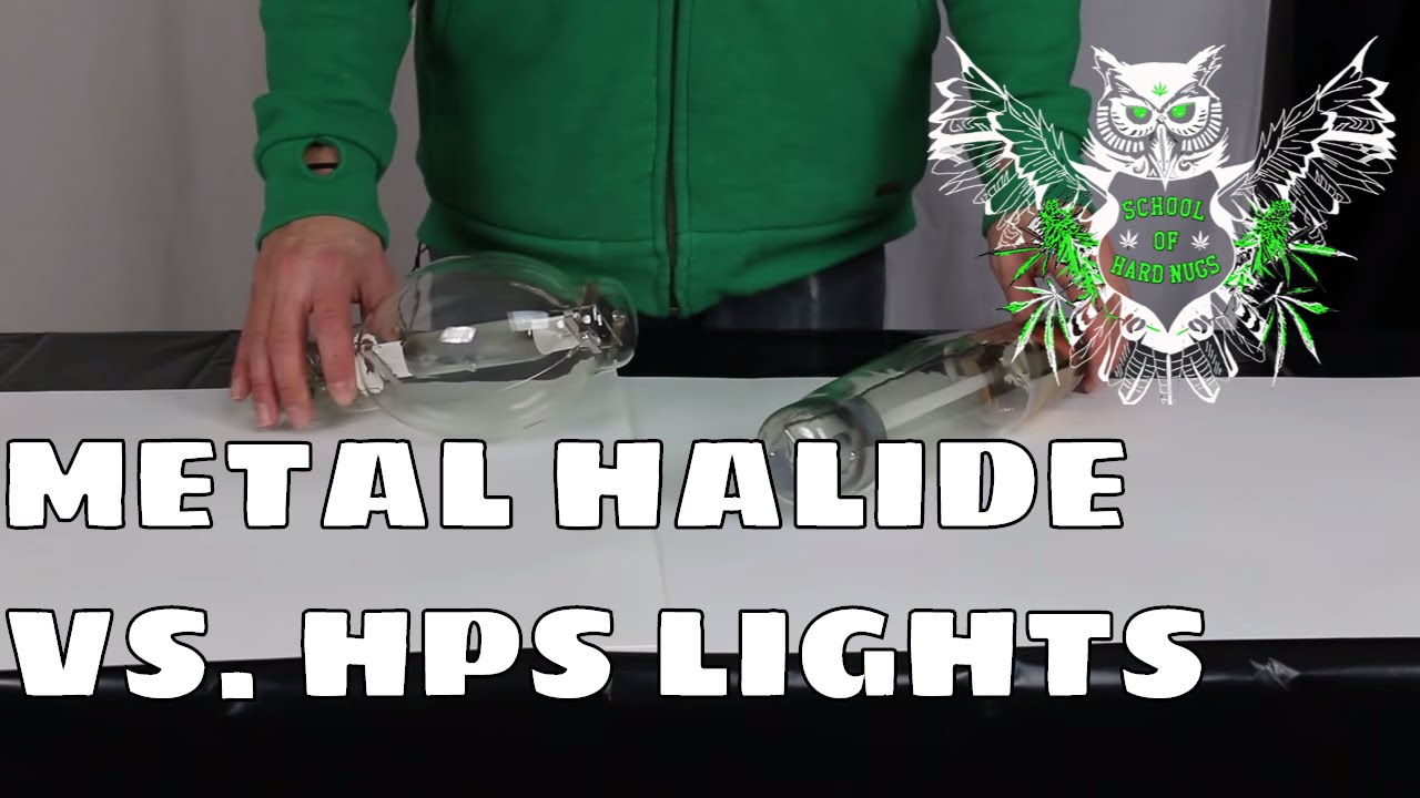 What is the difference between Metal Halide and HPS (High Pressure Sodium) Lights? HPS vs MH