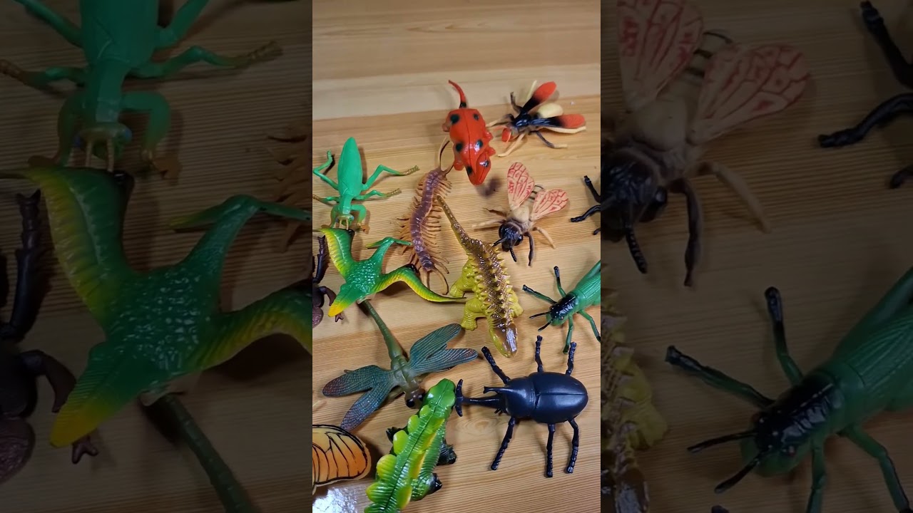 Insect and dinosaur toys