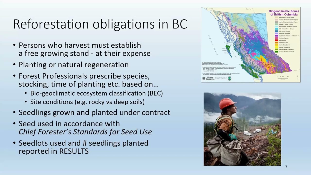 BC's Tree Seed Planning Dashboards