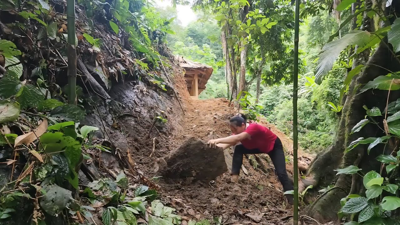 Upgrade to open the path to the house and harvest fruit | Lý Thị Viện