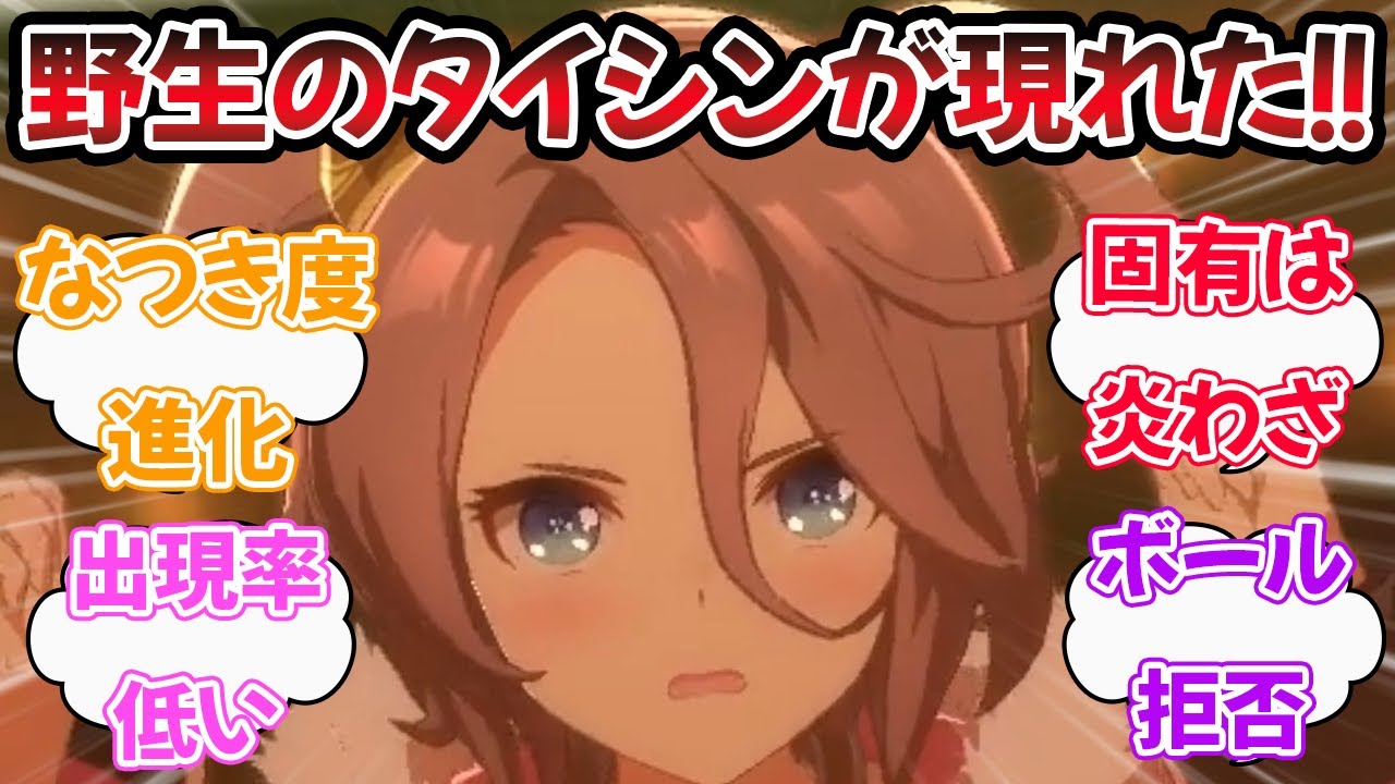 『あっ！ やせいのタイシンが とびだしてきた！』に対するみんなの反応【ウマ娘プリティーダービー】【5ch,2ch,ふたば,Twitterまとめ】