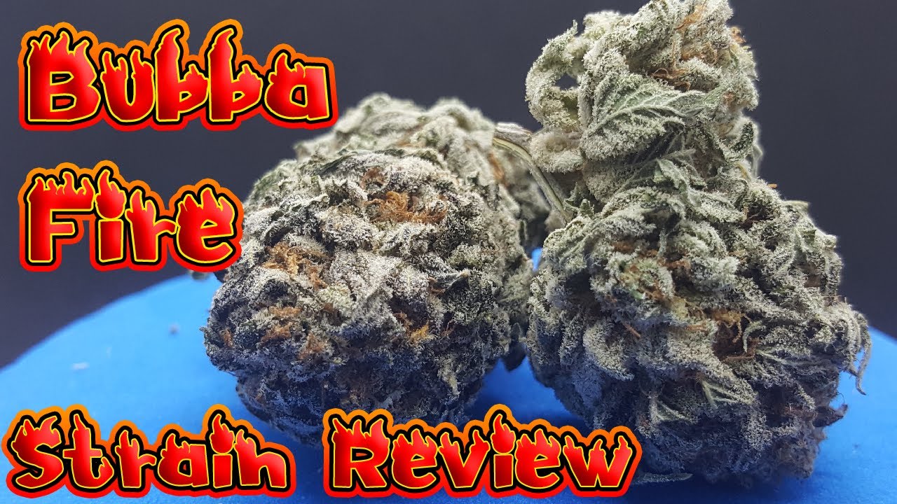 Bubba Fire Strain Review
