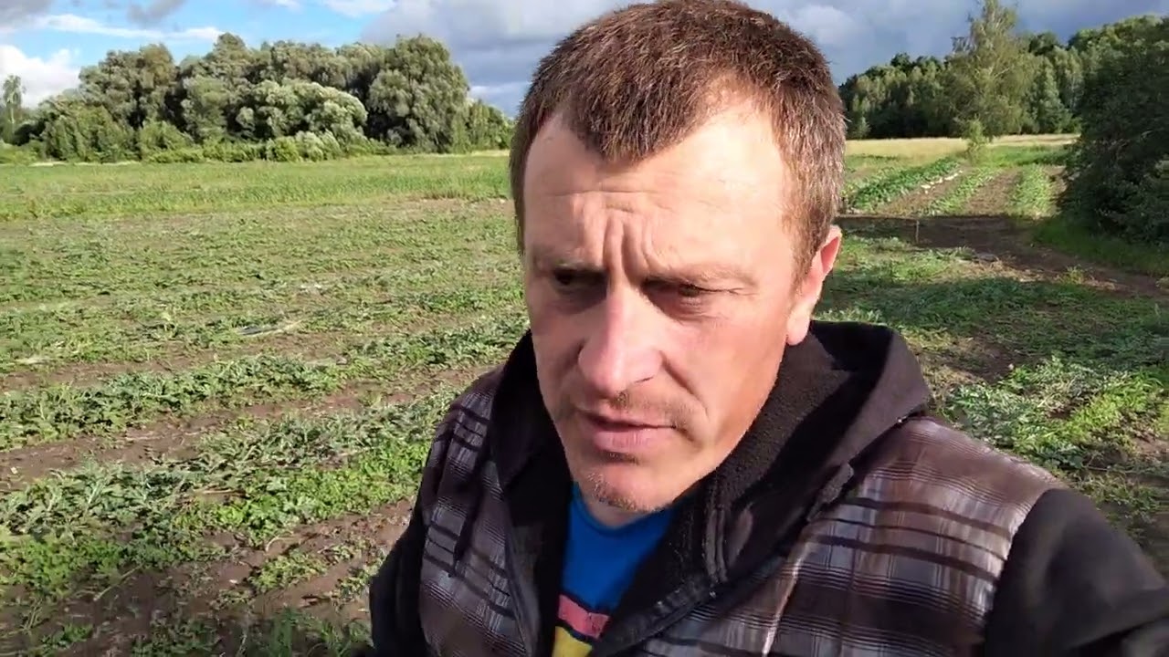 🆘🆘🆘 Похолодало Дощ та Вітер негайно обробіть фунгіцидом баштан.