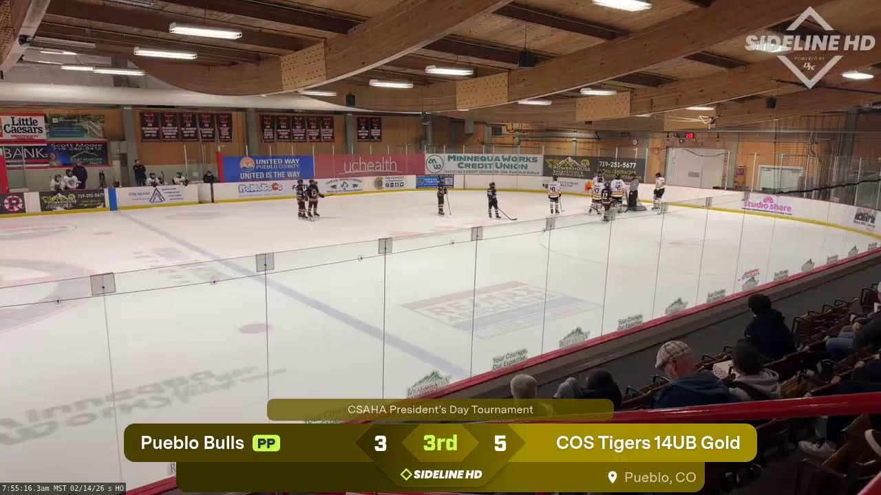 COS Tigers 14UB Gold vs. Pueblo Bulls (2026.02.14)