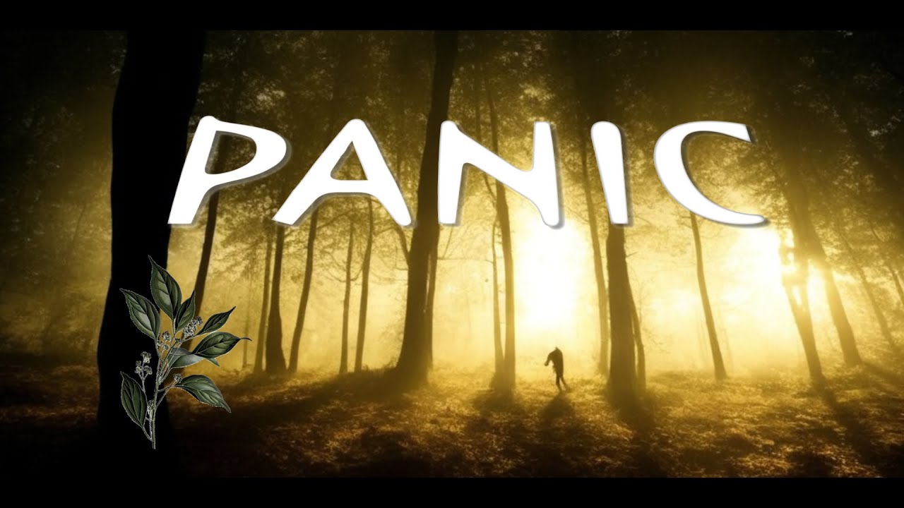 Palpitant : PANIC - Un court-métrage au cœur d'une forêt inquiétante
